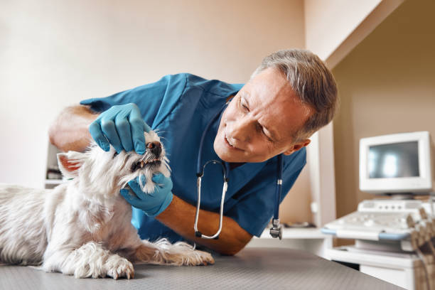 Best Cracked Tooth Emergency Dentist  in Randallstown, MD